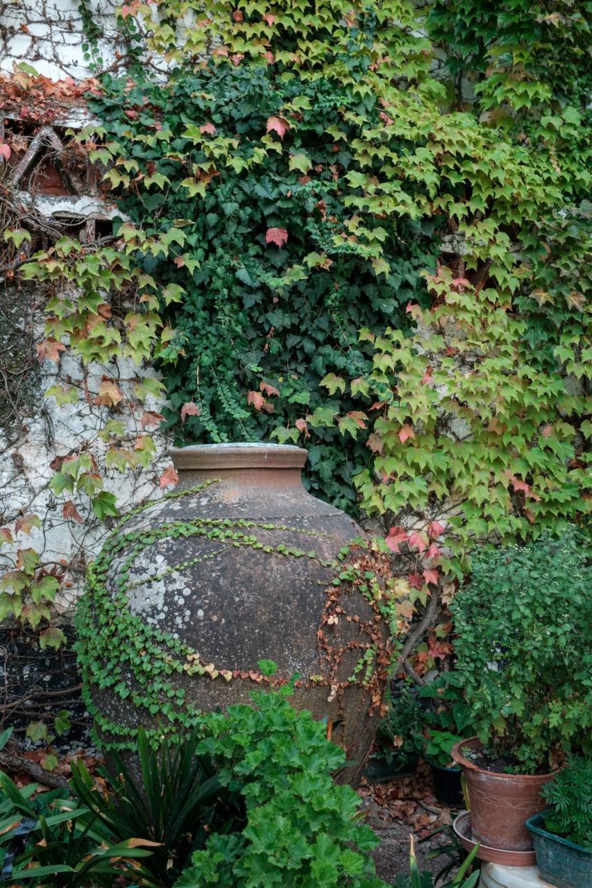 Casa De Borba Villa Dış mekan fotoğraf