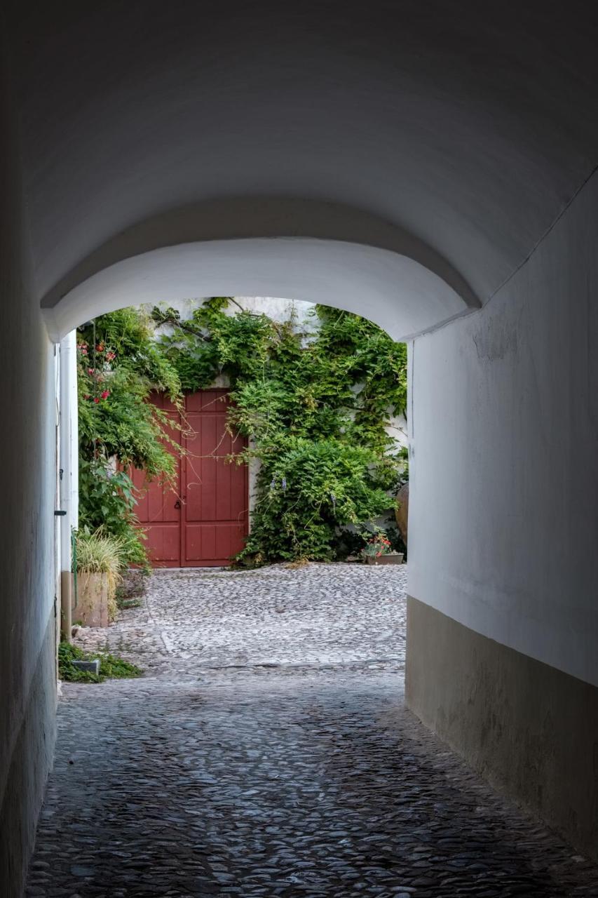 Casa De Borba Villa Dış mekan fotoğraf